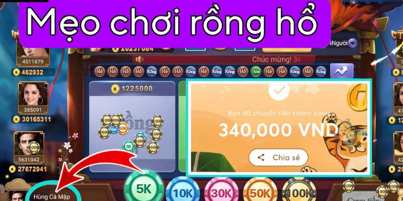 Tổng hợp mẹo chơi rồng hổ bất bại